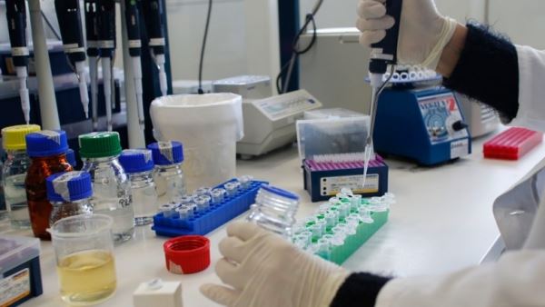Вирусологи назвали нужное для коллективного иммунитета количество вакцины